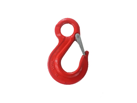 G80 EYE Sling Hook with Cast Latch