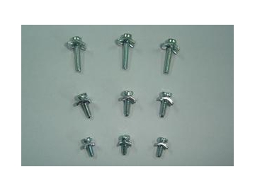 Terminal SEMS Screws