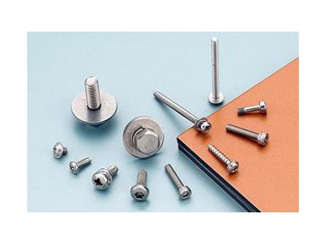 Stainless Steel Micro Fasteners