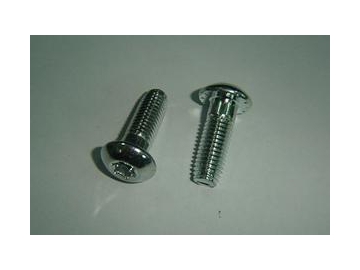 Precision Machine Screw