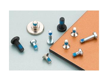 Stainless Steel Micro Fasteners