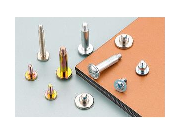 Non-Standard Screw Fasteners