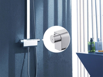 Exposed Thermostatic Shower Valve, HP6695C