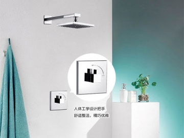 Concealed Shower Mixer, HA6169