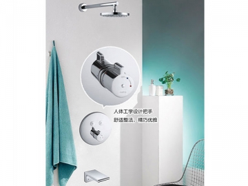 Concealed Shower Mixer, HL6946