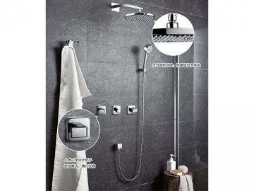 Concealed Shower Mixer, FB6066B