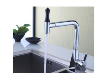 Kitchen Faucet, FL6834