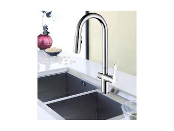 Kitchen Faucet, FL6450C