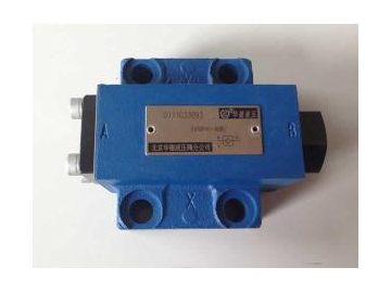 Pilot Operated Hydraulic Check Valve