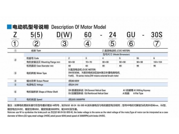 Micro DC Gear Motor