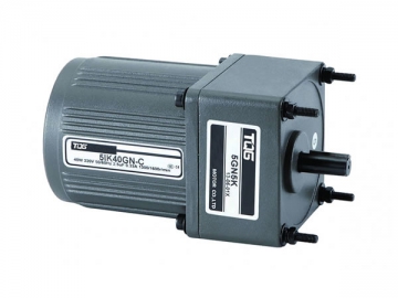 Micro AC Induction Gear Motor