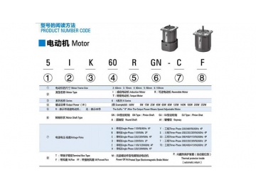 Micro AC Induction Gear Motor