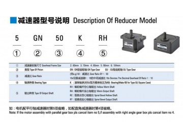 Micro AC Induction Gear Motor