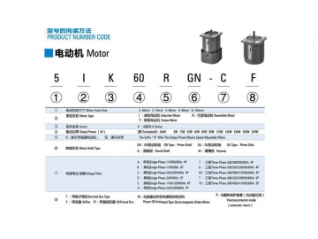 Micro AC Reversible Gear Motor