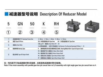 Micro AC Reversible Gear Motor