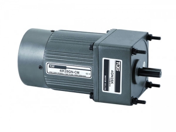 Micro AC Brake Gear Motor