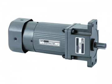 Micro AC Brake Gear Motor