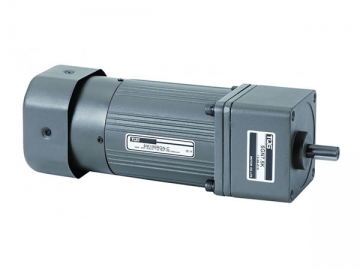 Micro AC Brake Gear Motor
