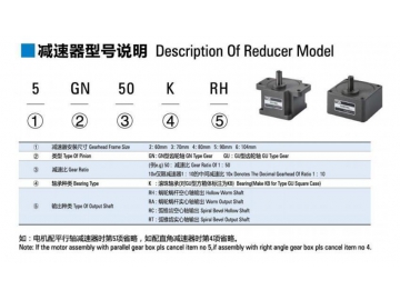 Micro AC Brake Gear Motor