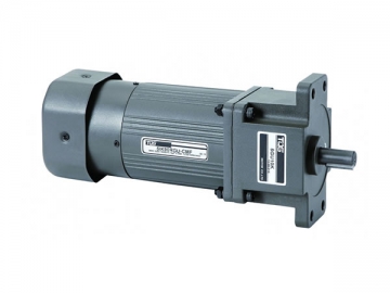 Micro AC Variable Speed Gear Motor