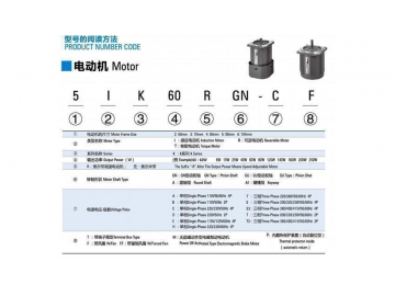 Micro AC Variable Speed Gear Motor