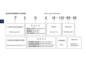 P Series High Torque Planetary Speed Reducer