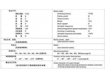 R Series Helical Gear Speed Reducer