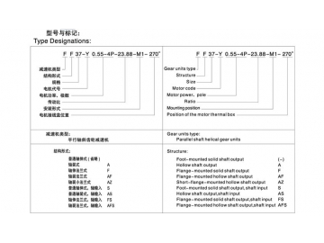 F Series Helical Gear Speed Reducer