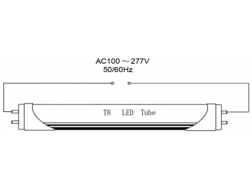 Energy Efficient T8 LED Tube Light