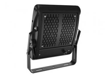 100 Watt LED Flood Light 2-Module LED Light