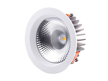 LED Downlight