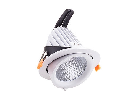 LED Downlight