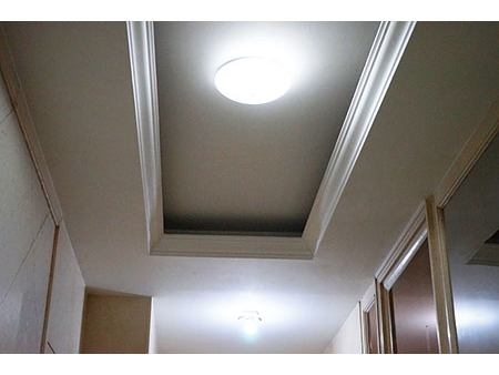 LED Ceiling Light