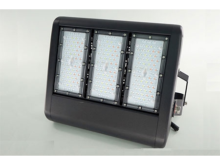 LED Flood Light