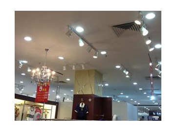 COB LED Down Light