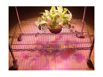 COB LED Plant Grow Light