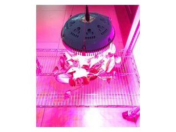 UFO LED Plant Grow Light