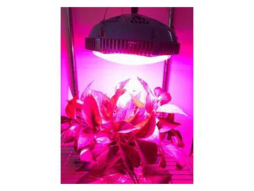 UFO LED Plant Grow Light