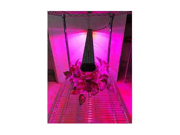 Linear LED Plant Grow Light