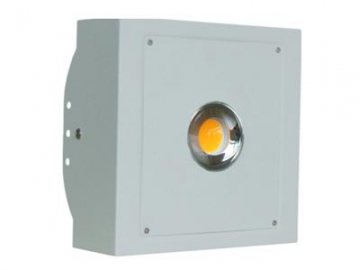 50 Watt White LED Lighting Plant Grow Light