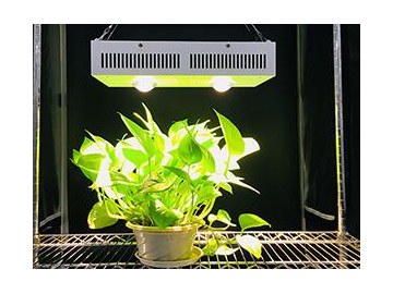 White LED Lighting LED Plant Grow Light
