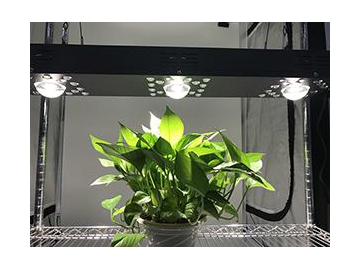 Red Blue LED Lighting Plant Grow Light