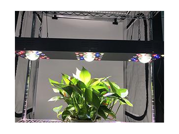 Red Blue LED Lighting Plant Grow Light
