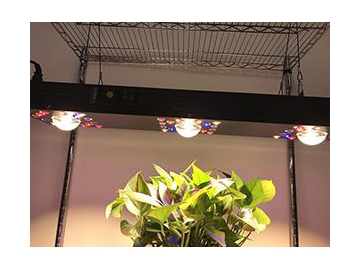 Red Blue LED Lighting Plant Grow Light