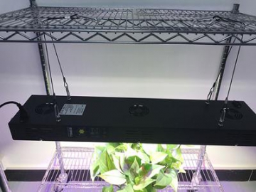 Red Blue LED Lighting Plant Grow Light