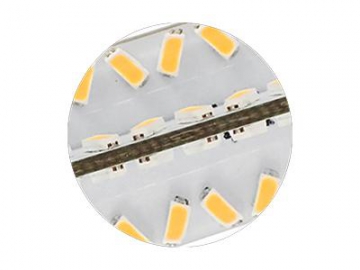 GY6.35 SMD 3014 Bi-Pin LED Light