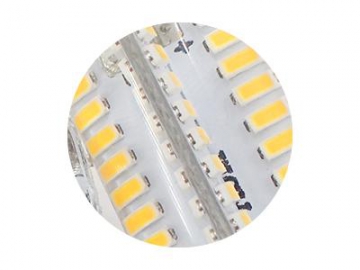 G8 LED Bulb (3014 LED Module)