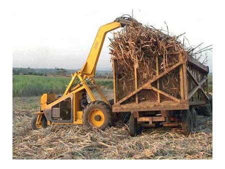 400-700kg Sugar Cane Grab Loader