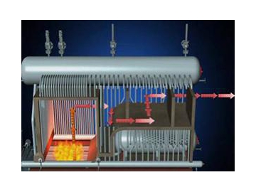 Biomass Fired Steam Boiler