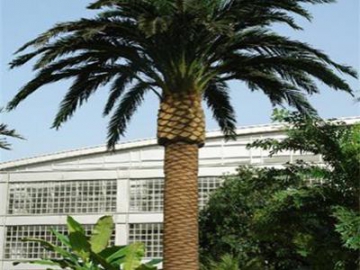 Outdoor Artificial Date Palm Tree